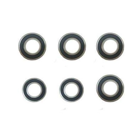 Importator unic BERG in Romania-Set rulmenti  karturi 5+ ani