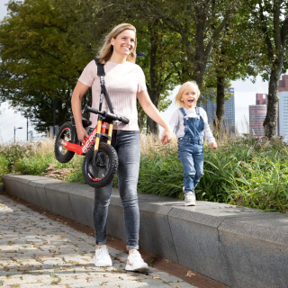 Ham_transport_Kart_Berg_GO_2